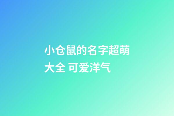 小仓鼠的名字超萌大全 可爱洋气
